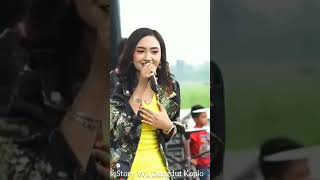 Download lagu Story Wa Dangdut Koplo!!! Klebus Voc.Jihan Audy Om Nirwana!!! #shorts mp3