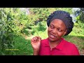 Amataba Yaletelela Ba Zulu And Longwani