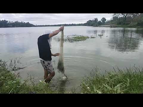 XRIDERPH INSPIRED | PANDADALA AT PAMIMIWAS NG ISDA