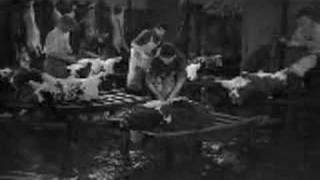 Converge - Concubine / Fault and Fracture