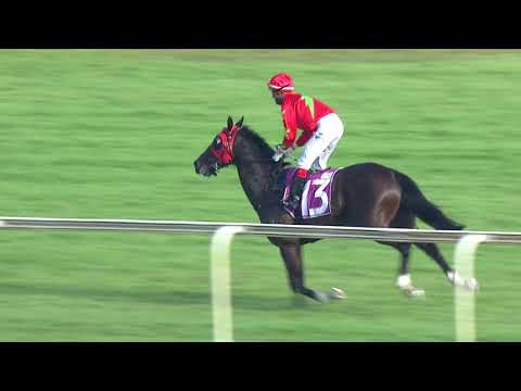 Kranji Mile 2020 (Aramaayo)