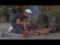 Chaves As Pessoas Boas Devem Amar Seus Inimigos 1978 Parte 1  Alta Qualidade HD