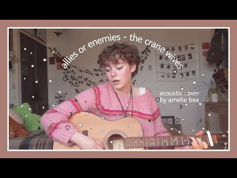 allies or enemies (the crane wives) - acoustic cover ♫