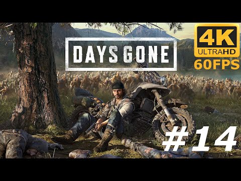 Zagrajmy w Days Gone odc: 14 - Ocalała z Marion Forks