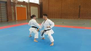 Bunkai GekiSai Dai Ichi em linha