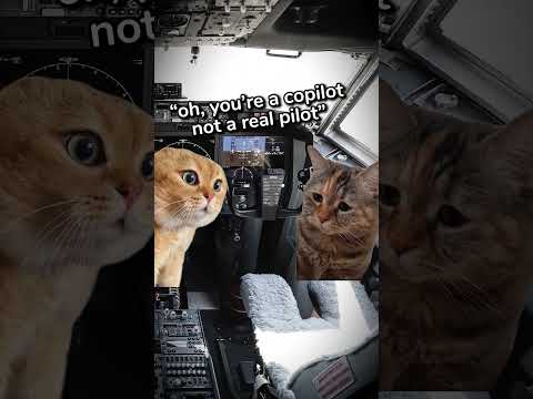 the sad life of a pilot...