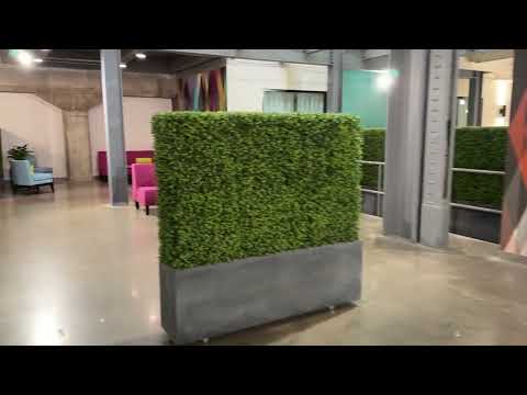 Spooky Nook Champion Mill - 2023 Walk Through