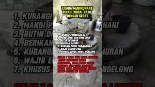 Download lagu 7 cara menurunkan birahi murai batu mp3 Download lagu 7 cara menurunkan birahi murai batu mp3