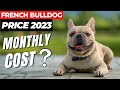 How Much Does a French Bulldog Cost? 💰Price Analysis and Monthly Expenses 💸 #2023
