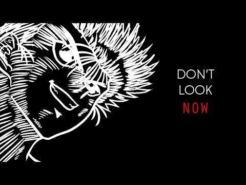 Thumbnail for Don't Look Now [AMV] by Hands Like Houses