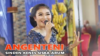 Download lagu SISKA ARUM - LANGGAM ANGENTENI - CS. PURWO WILIS || MR. AUDIO mp3