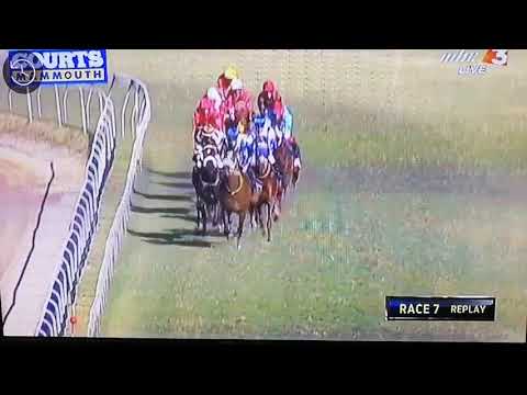 The Courts Mammouth Maiden Cup 2019