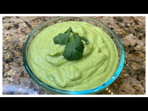 AVOCADO SALSA/DELICIOUS/CREAMY AND SPICY