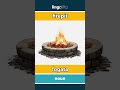 firepit - fogata video thumbnail