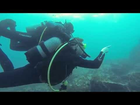 Scuba diving in Spain