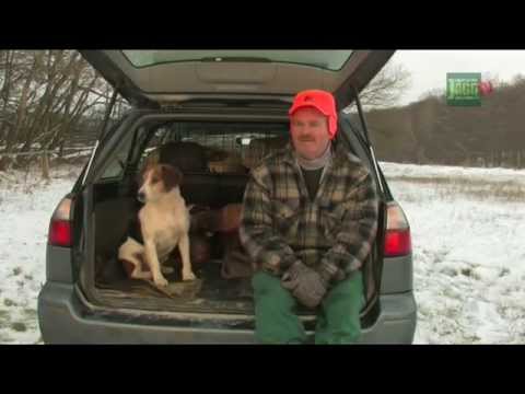 DJZ-TV: Stefan's Meute