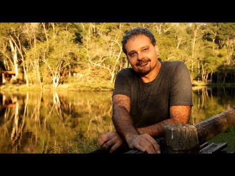 Todo Sentimento video