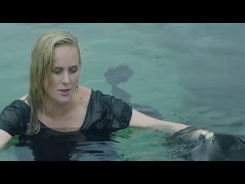 Destination (Official Music Video) - Fluir