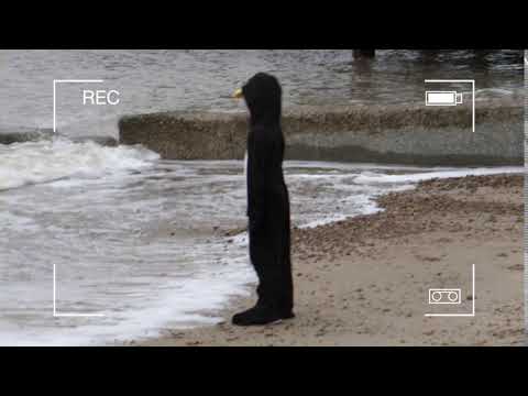 Penguin on Felixstowe beach