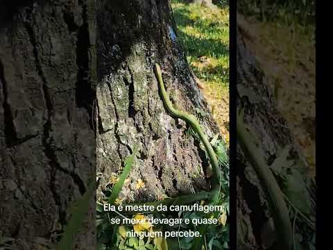 Segue aí uma visitinha na chácara em Redentora Rio Grande do Sul@biologohenriqueoficial