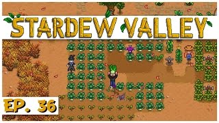 Stardew Valley - Ep. 36 - Bok Choy For Days! - Let's Play Stardew Valley Gameplay