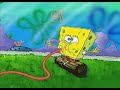 Spongebob - Wir Eichhörnchen sind echt zu blöd