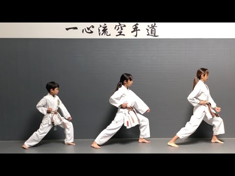 Taikyoku Shodan Kata