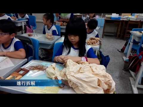 臺北市105年度推動國民中小學辦理藝術與人文教學深耕計畫-華江國小洋蔥染_封面照片