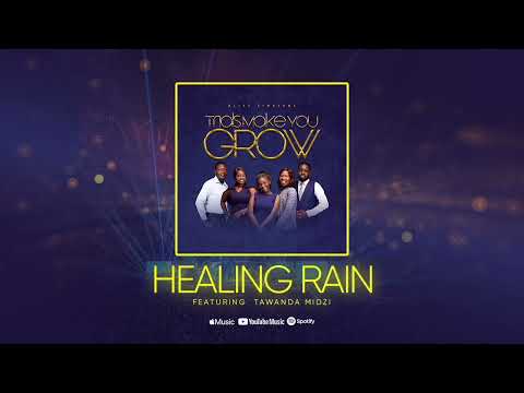 Bliss Zimbabwe ft Tawanda Midzi - Healing Rain (Official Audio)