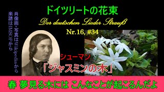 Download lagu 16, リュッケルト「ジャスミンの木」（シューマン）#34（250420） mp3