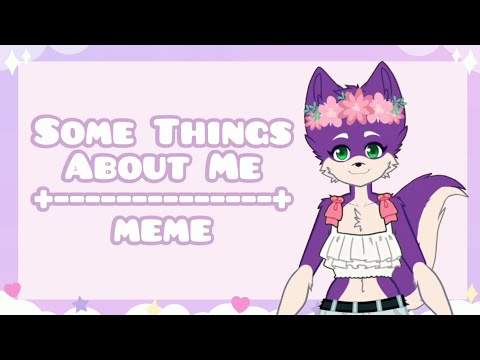 Some Things About Me || meme