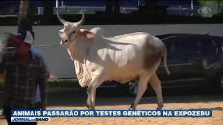 Miniatura do vídeo