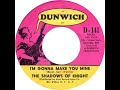 The Shadows of Knight - I'm Gonna Make You Mine   (1966)