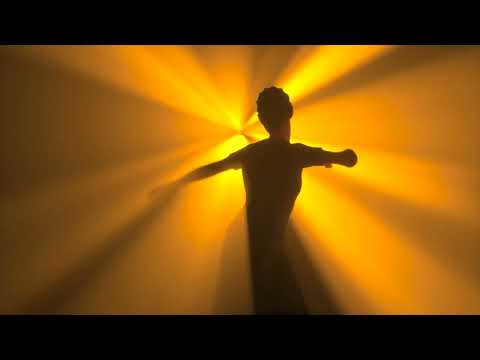 Train the Professionals -  Milena Radović