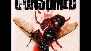 Consumed - Twat Called Maurice