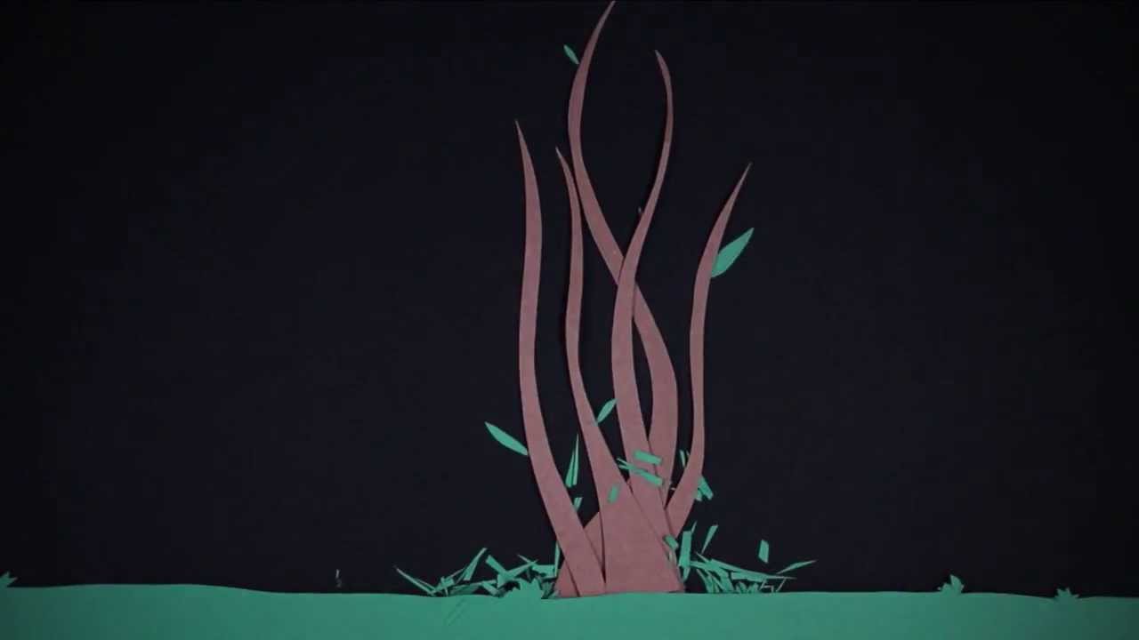 Paper Cutout Stop Motion Animation