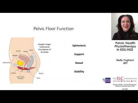 Pelvic Health Physiotherapy in EDS & HSD | Nelly Faghani, RPT