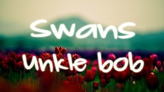 Swans - Unkle Bob | SUBTITULADA español e inglés *AUDIO HQ* #Grey&#39;sAnatomy