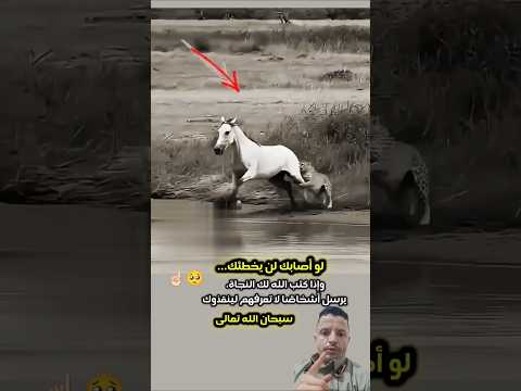 ما ياتيك لن يخطئك..واذا أراد الله خلاصك يرسل أشخاص لا تعرفهم لينقذوك🤲🏻😰 #viralshorts #youtubeshorts
