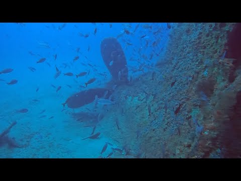 Amazing viz on the Proteus - Hatteras, NC - 09JUL2023