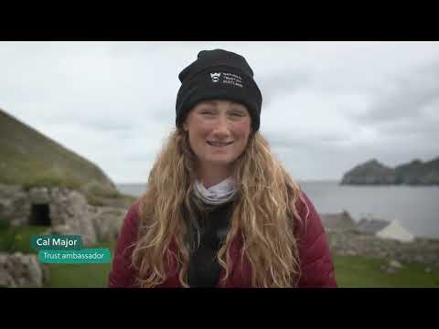 St Kilda Diaries: Great skua