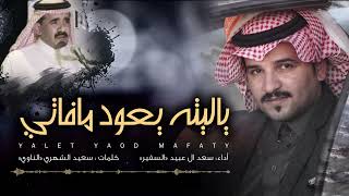 كلمات اغنية ياليته يعود مافاتي سعد ال عبيد