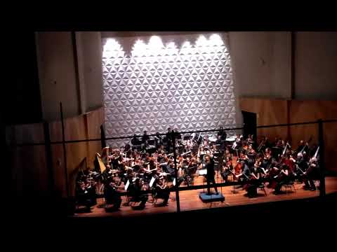 ORQUESTRA SINFÔNICA DA UFRJ