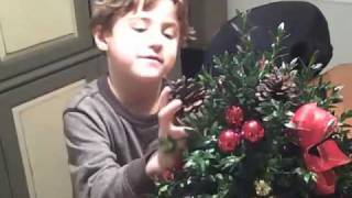 preview picture of video 'Max's Boxwood Tree for the Holidays!'