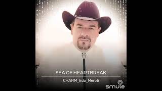 Sea of Heartbreak - Jimmy Buffet and George Strait