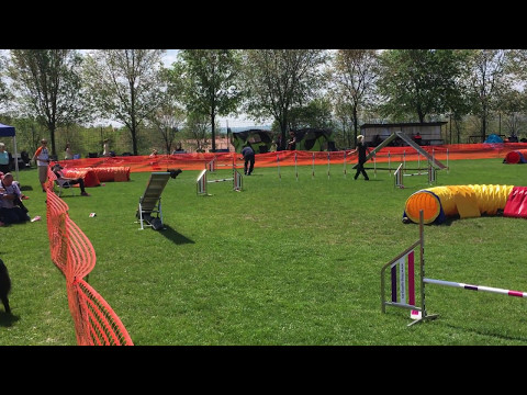 Tavasz Kupa - 2017.05.06