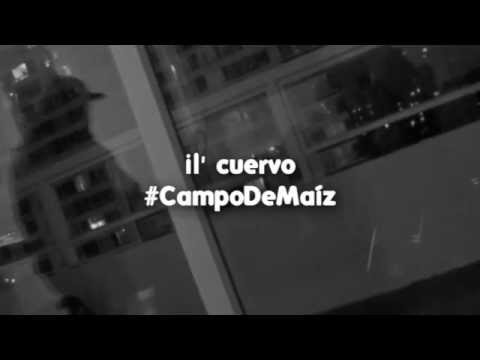 iL Cuervo Extracto "Cárcel del norte"