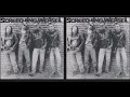 Screeching Weasel – Chainsaw