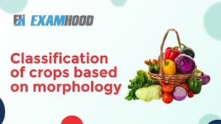 Classification of crops based on morphology