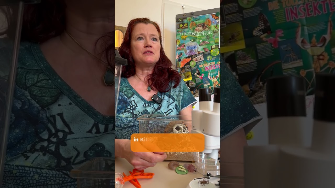 Das große Krabbeln im Büro